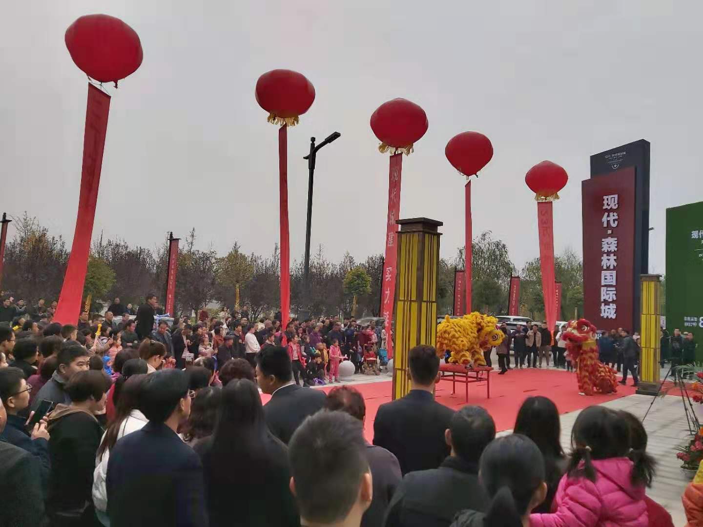 1574403072906284.jpg 1574403072906284.jpg